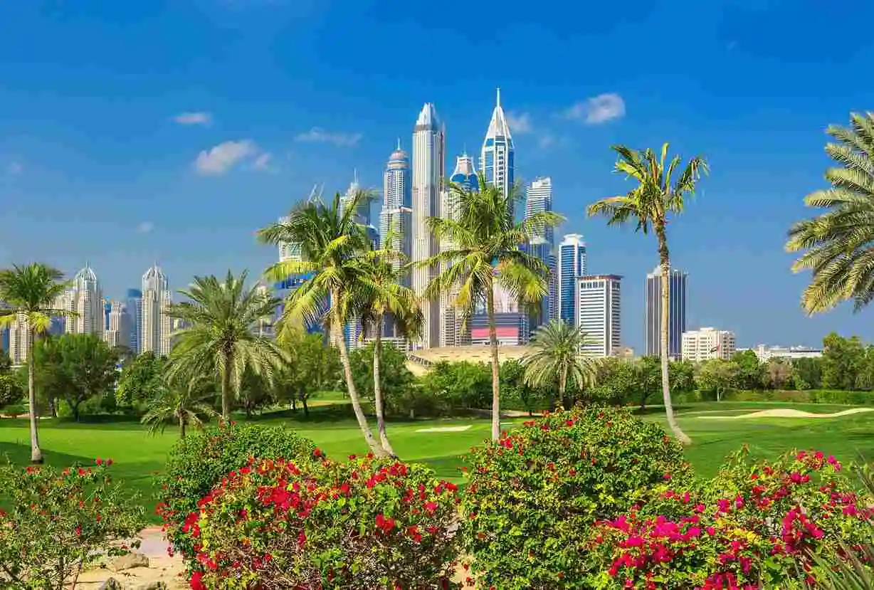 drop and go dry clean laundry Greens