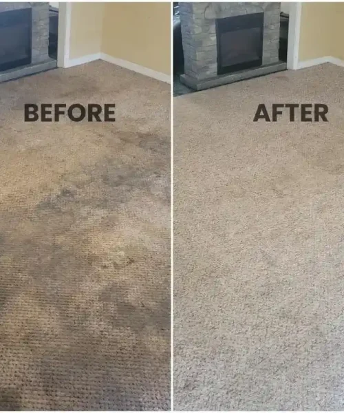 carpet wash near me